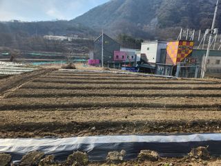 정미경님의 자유주제 · 자유게시판 작성글 사진