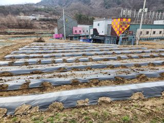 정미경님의 자유주제 · 자유게시판 작성글 사진