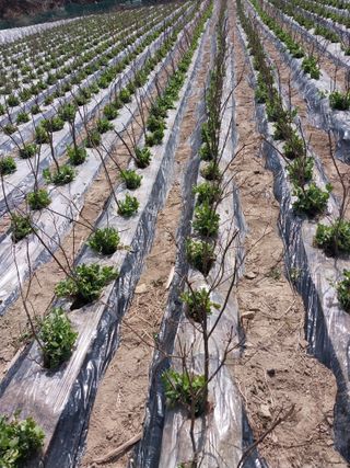 5월출석왕이레요님의 자유주제 · 자유게시판 작성글 사진