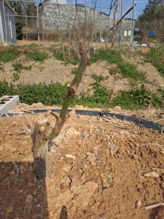 귤13096이인오님의 자유주제 · 자유게시판 작성글 사진