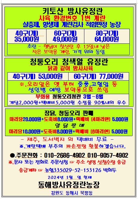 계초님의 장터 판매 상품 [방사유정란 초란 판매] 첨부 사진