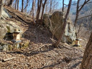 정진협님의 자유주제 · 자유게시판 작성글 사진