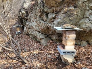 정진협님의 자유주제 · 자유게시판 작성글 사진