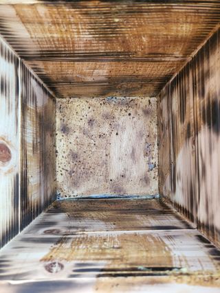 정진협님의 자유주제 · 자유게시판 작성글 사진