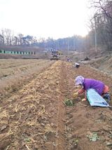 팜모닝 자유주제·자유게시판 게시글 이미지