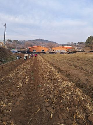 최평선님의 자유주제 · 자유게시판 작성글 사진