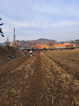 최평선님의 자유주제 · 자유게시판 작성글 사진