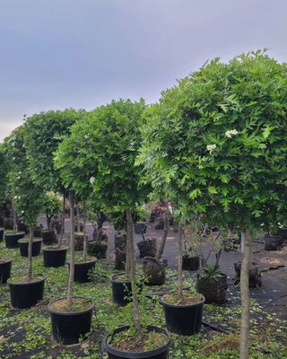 김기옥 님의 자유주제 · 자유게시판 작성글 사진