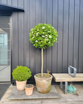 김기옥 님의 자유주제 · 자유게시판 작성글 사진