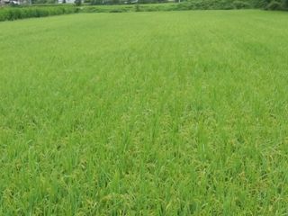 농부 임성훈님의 작성글 사진