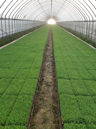 농부 임성훈님의 작성글 사진