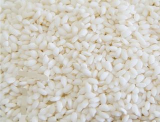 농부 임성훈님의 작성글 사진