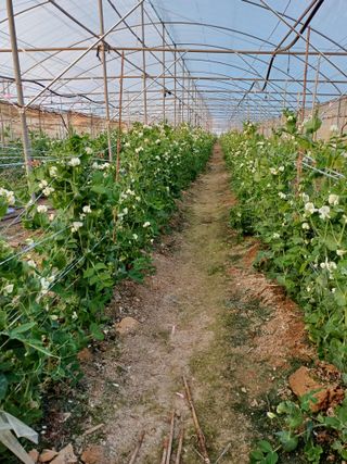 부농이네(이나영)님의 자유주제 · 사진전 작성글 사진