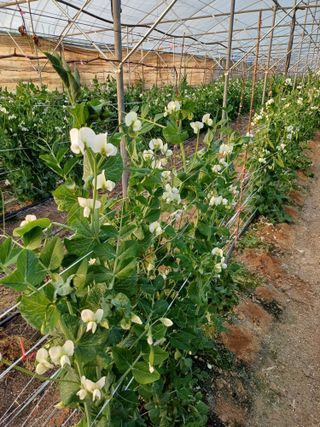 부농이네(이나영)님의 자유주제 · 사진전 작성글 사진