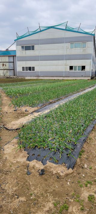 황금이님의 자유주제 · 자유게시판 작성글 사진