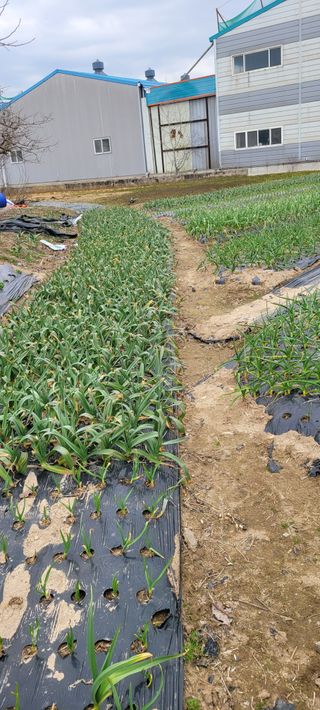 황금이님의 자유주제 · 자유게시판 작성글 사진