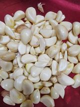 팜모닝 · 게시글 이미지