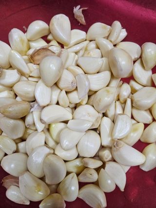 해풍님의 작성글 사진