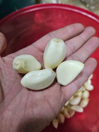 해풍님의 작성글 사진