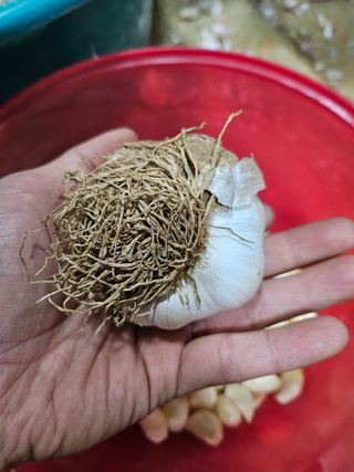 해풍님의 작성글 사진