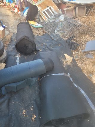 시금치6781님의 자유주제 · 자유게시판 작성글 사진