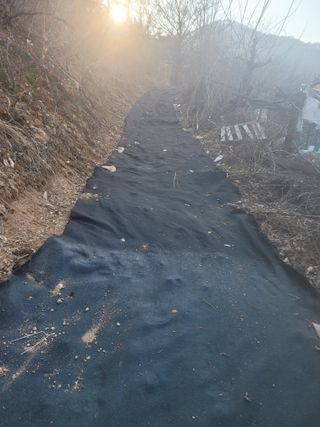 시금치6781님의 자유주제 · 자유게시판 작성글 사진