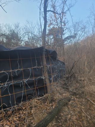 시금치6781님의 자유주제 · 자유게시판 작성글 사진