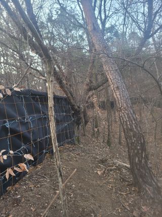 시금치6781님의 자유주제 · 자유게시판 작성글 사진