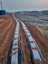 팜모닝 감자·영농일지 게시글 이미지