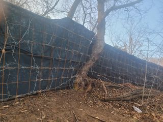 시금치6781님의 자유주제 · 자유게시판 작성글 사진