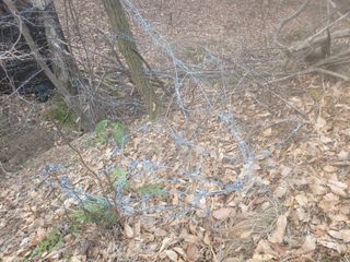 시금치6781님의 자유주제 · 자유게시판 작성글 사진