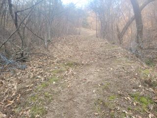 시금치6781님의 자유주제 · 자유게시판 작성글 사진