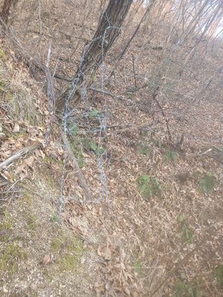 시금치6781님의 자유주제 · 자유게시판 작성글 사진