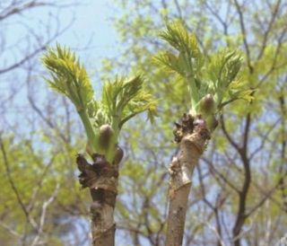 박철규 님의 자유주제 · 자유게시판 작성글 사진