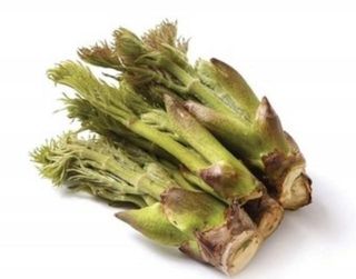 박철규 님의 자유주제 · 자유게시판 작성글 사진