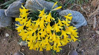 삼례텃밭지기님의 자유주제 · 자유게시판 작성글 사진