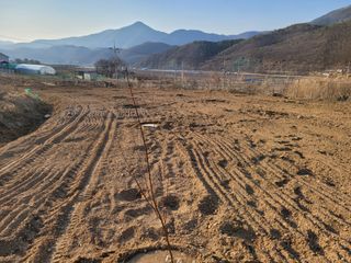 박영석님의 복숭아 · 영농일지 작성글 사진