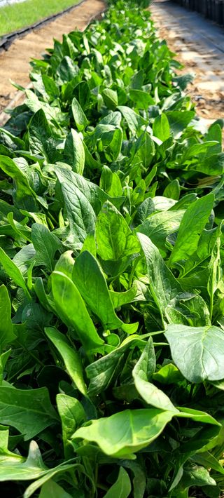 심기섭님의 자유주제 · 자유게시판 작성글 사진