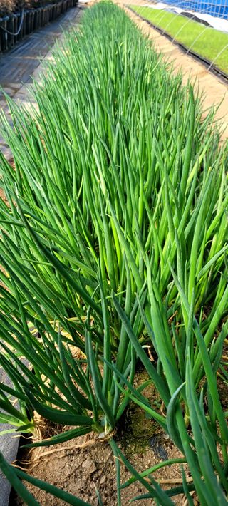 심기섭님의 자유주제 · 자유게시판 작성글 사진