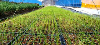 심기섭님의 자유주제 · 자유게시판 작성글 사진