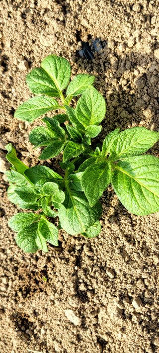 심기섭님의 자유주제 · 자유게시판 작성글 사진