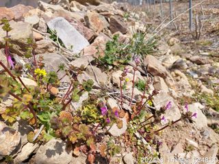 유병욱님의 자유주제 · 자유게시판 작성글 사진