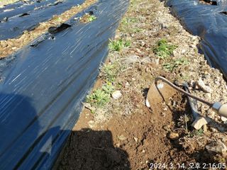 유병욱님의 자유주제 · 자유게시판 작성글 사진