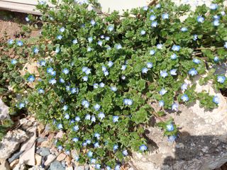 유병욱님의 자유주제 · 자유게시판 작성글 사진