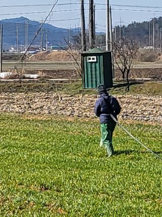 김영진(전남영광)님의 기타작물 · 자유게시판 작성글 사진