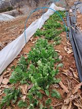 팜모닝 자유주제·자유게시판 게시글 이미지