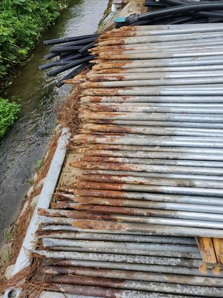 dưa leo오이님의 파 · 자유게시판 작성글 사진