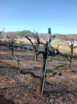 팜모닝 3월 내 작물 자랑하기·참여글 게시글 이미지