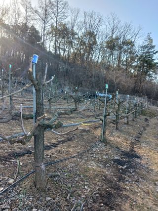 정순유님의 3월 내 작물 자랑하기 · 참여글 작성글 사진