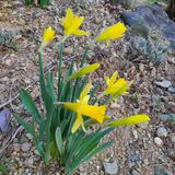 팜모닝 자유주제·자유게시판 게시글 이미지